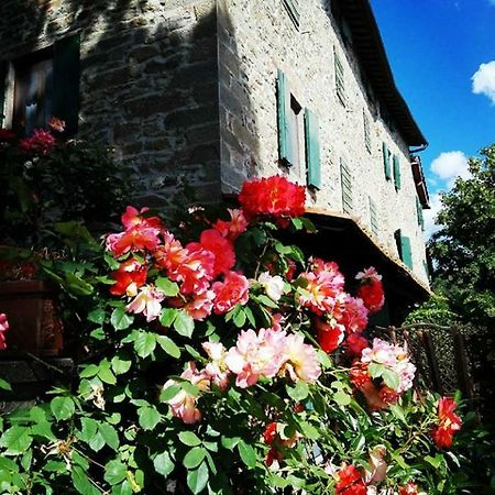 Podere I Rovai-Apt Il Rifugio- In The Heart Of Tuscany Reggello Extérieur photo